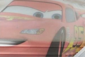 Zebra Perde Kataloğu