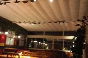 Tavan Sistemi Motorlu Ses Yalıtım Perdesi